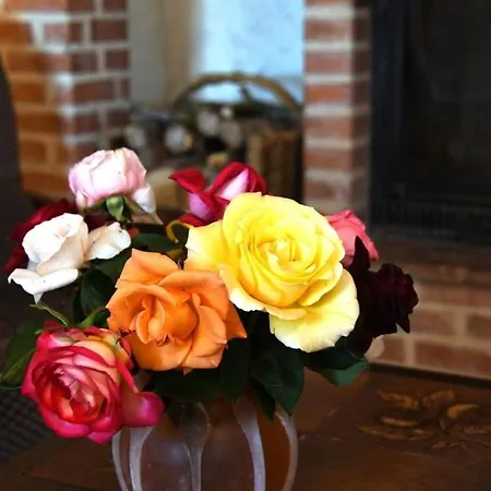 De Tarou Ferienhaus *