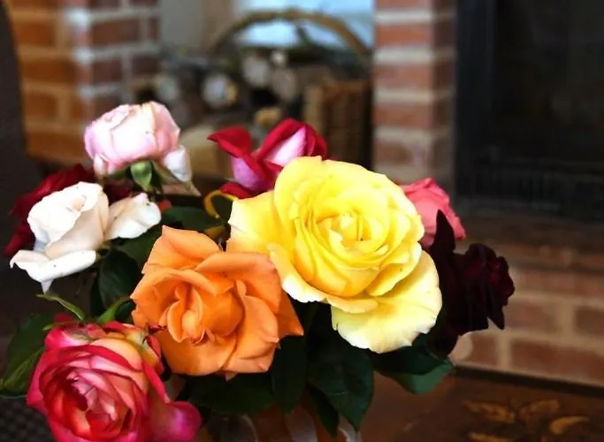 De Tarou Hébergement de vacances *